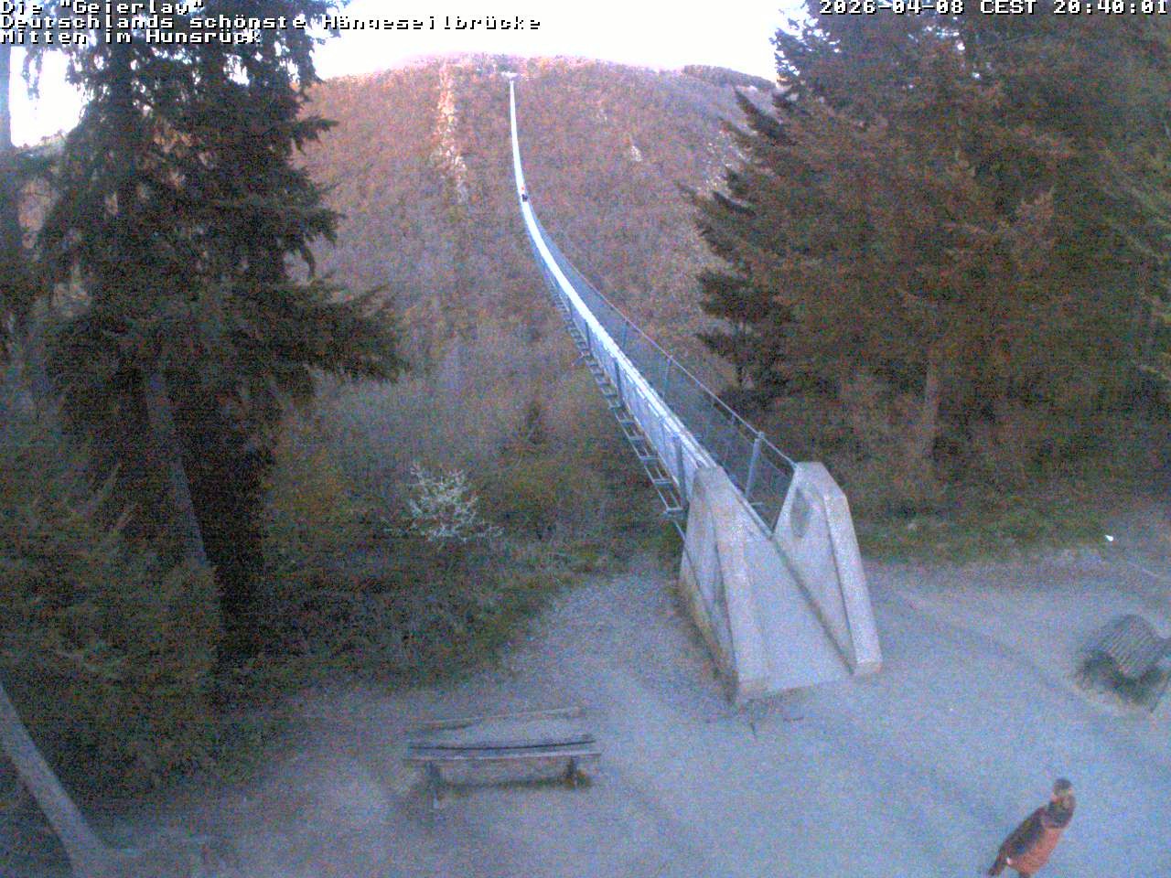 Archiv Foto Webcam Hängebrücke Geierlay bei Mörsdorf