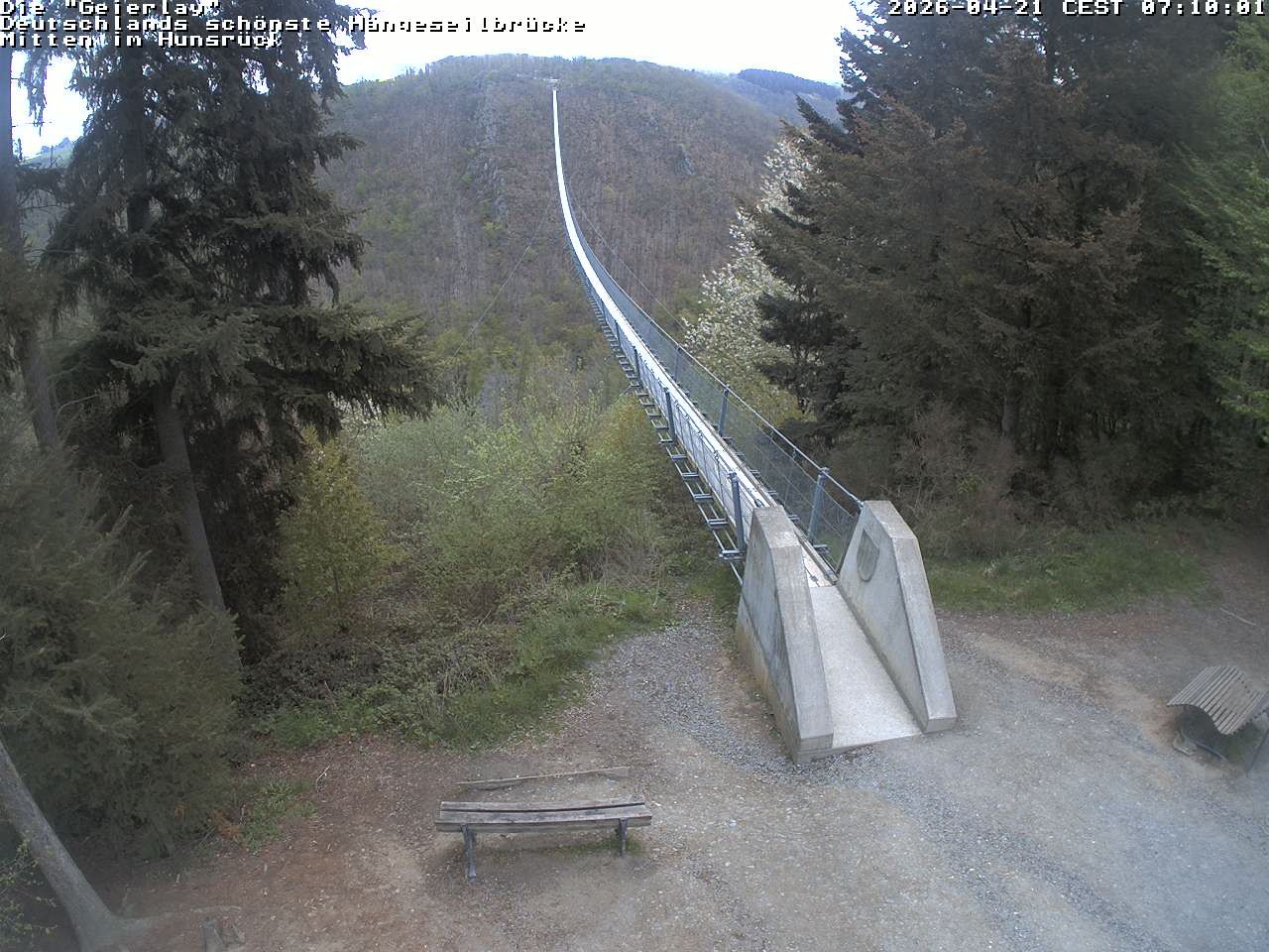 Archived image Webcam Geierlay Suspension Bridge Mörsdorf