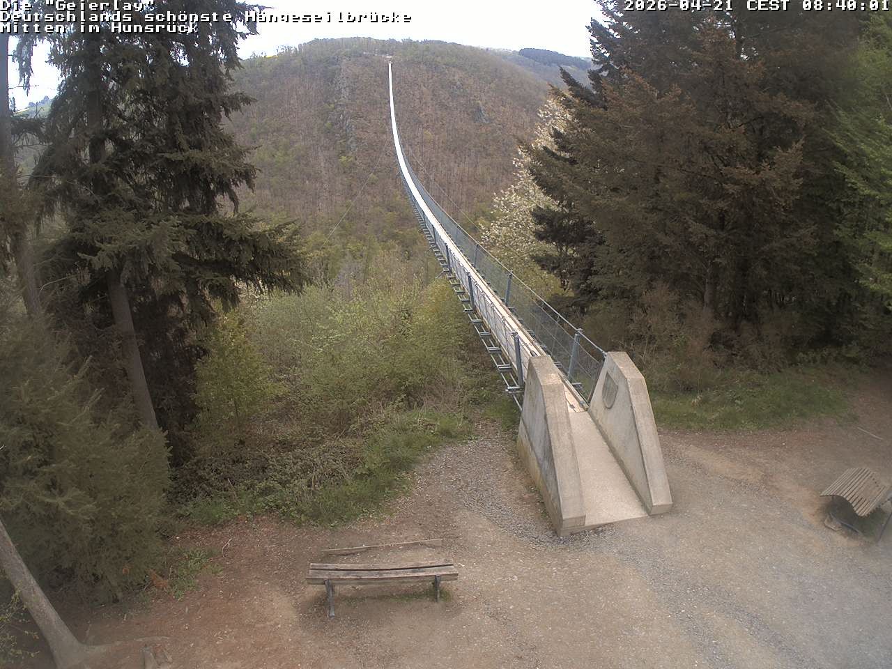 Archived image Webcam Geierlay Suspension Bridge Mörsdorf