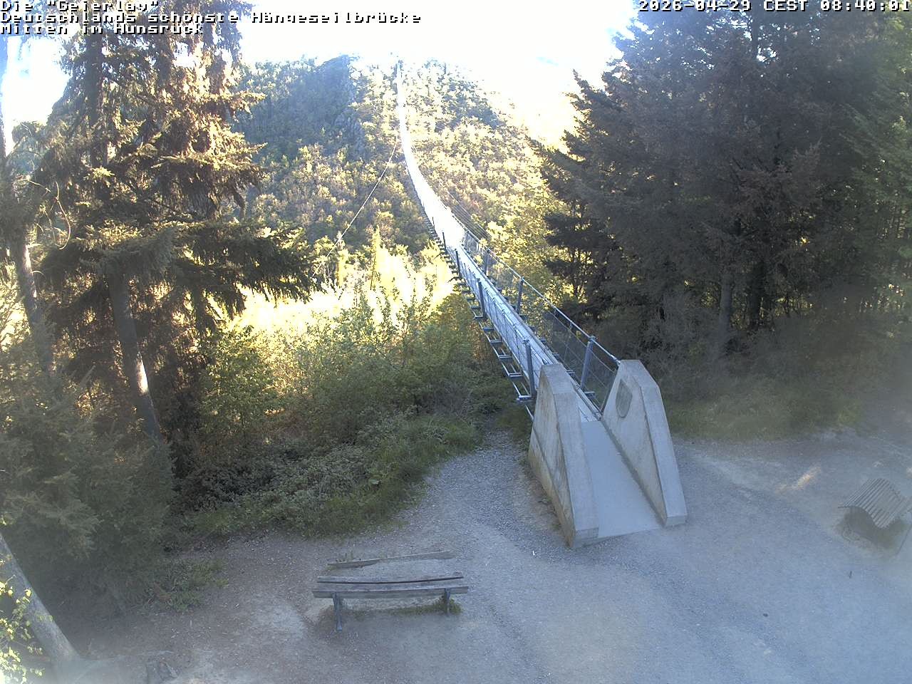 Archiv Foto Webcam Hängebrücke Geierlay bei Mörsdorf