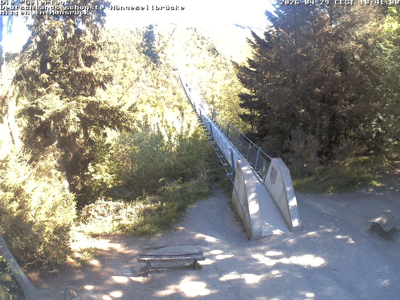 Archiv Foto Webcam Hängebrücke Geierlay bei Mörsdorf
