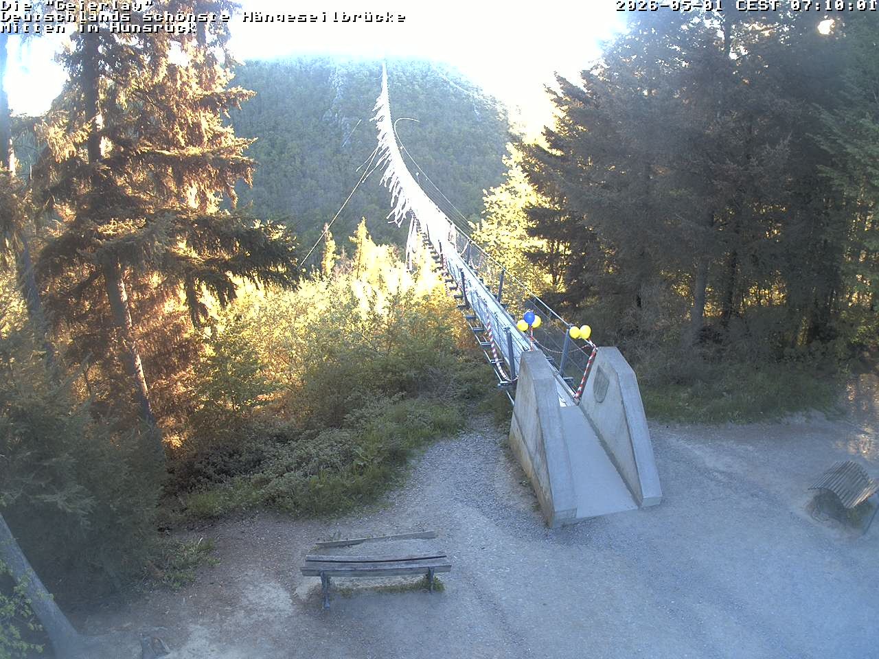 Archiv Foto Webcam Hängebrücke Geierlay bei Mörsdorf