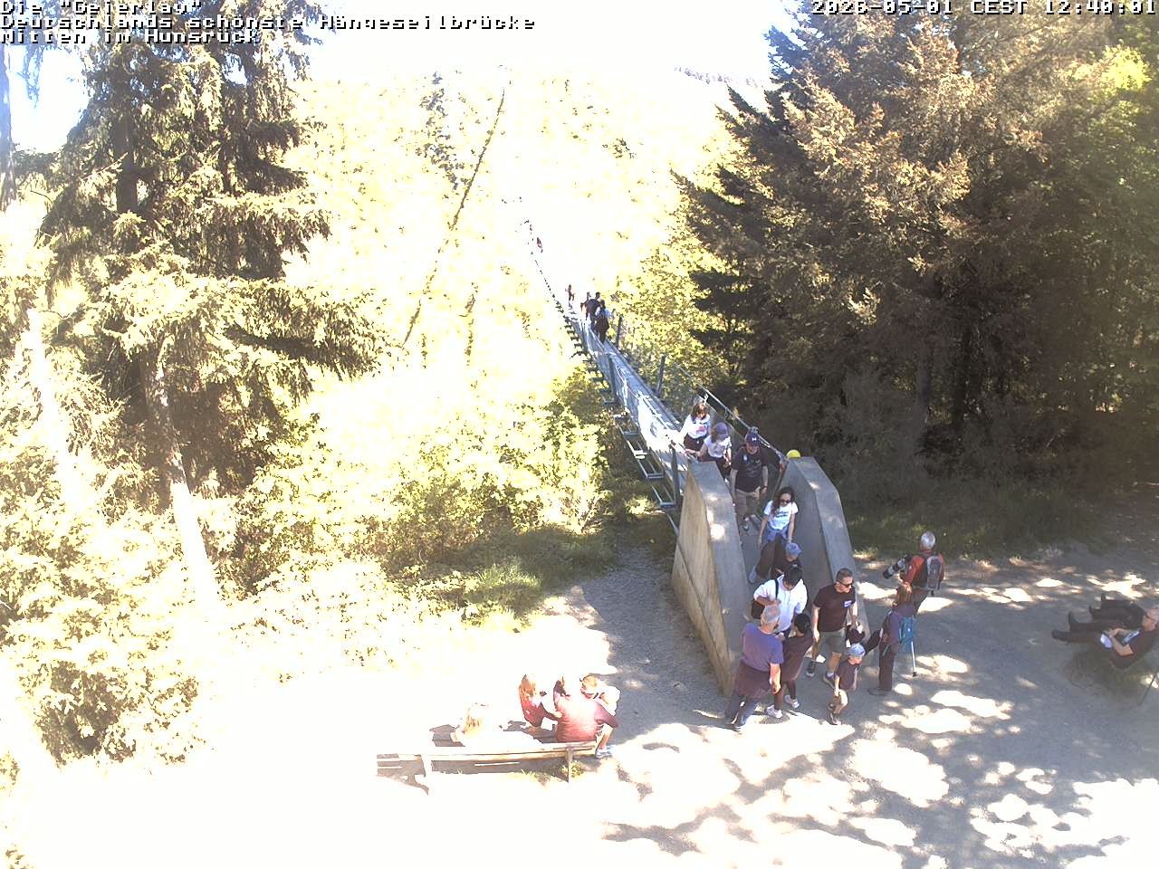 Archiv Foto Webcam Hängebrücke Geierlay bei Mörsdorf