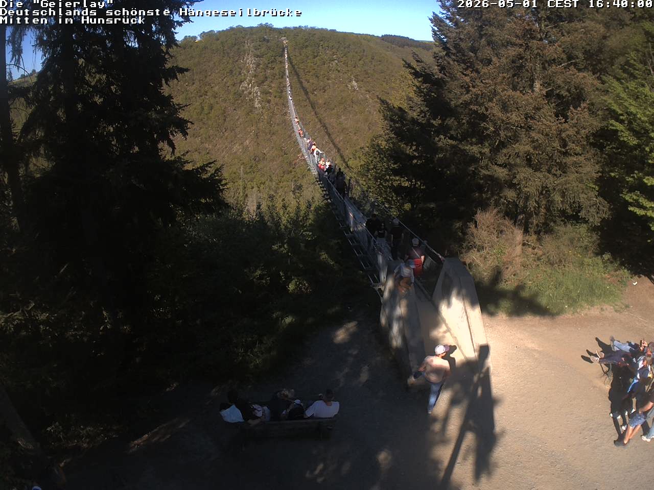 Archiv Foto Webcam Hängebrücke Geierlay bei Mörsdorf