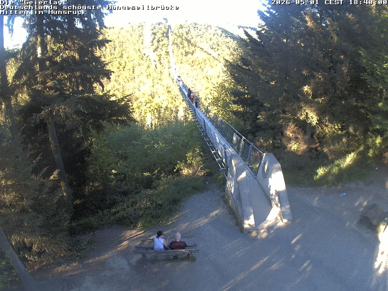 Archived image Webcam Geierlay Suspension Bridge Mörsdorf