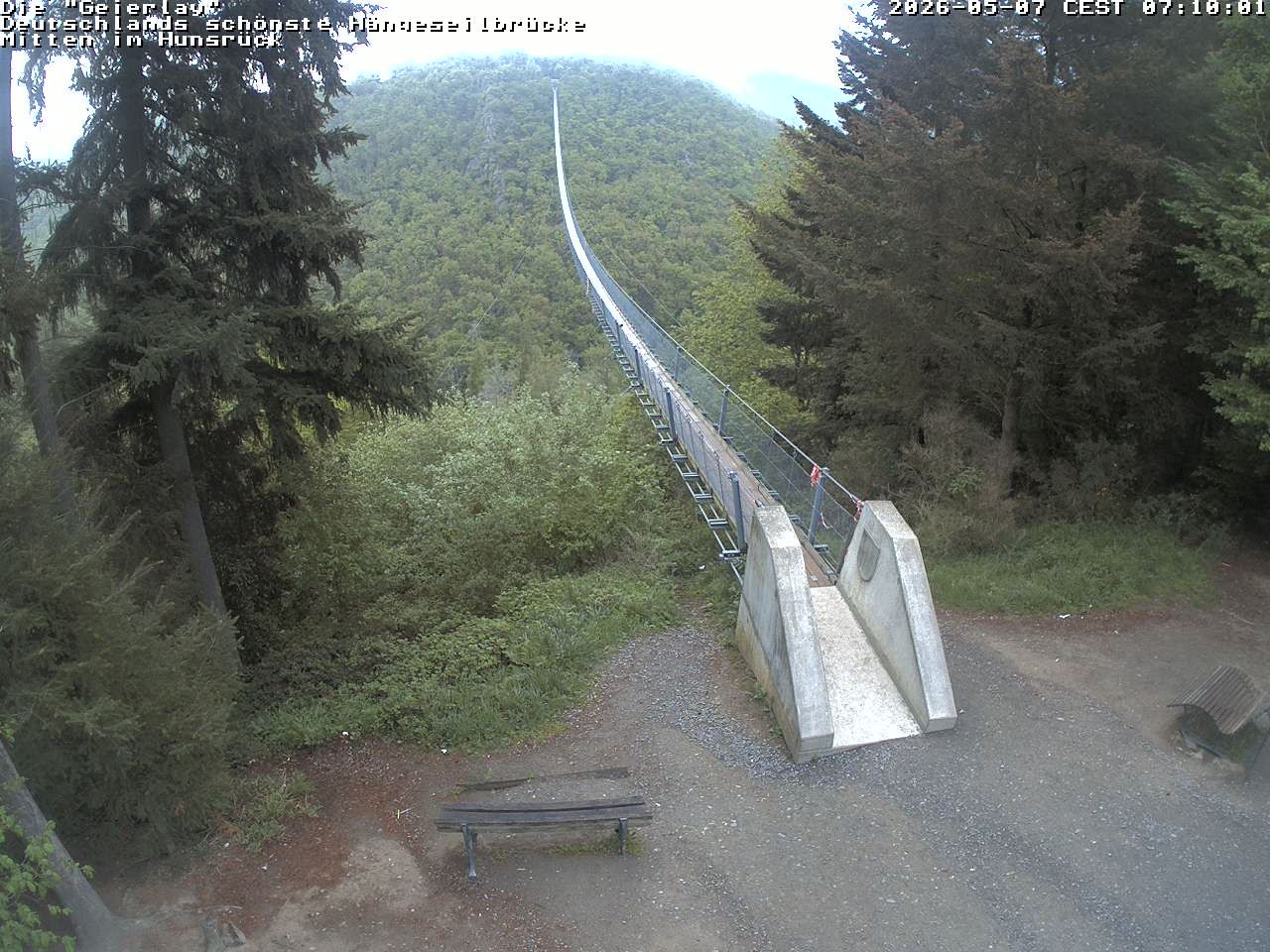 Archiv Foto Webcam Hängebrücke Geierlay bei Mörsdorf