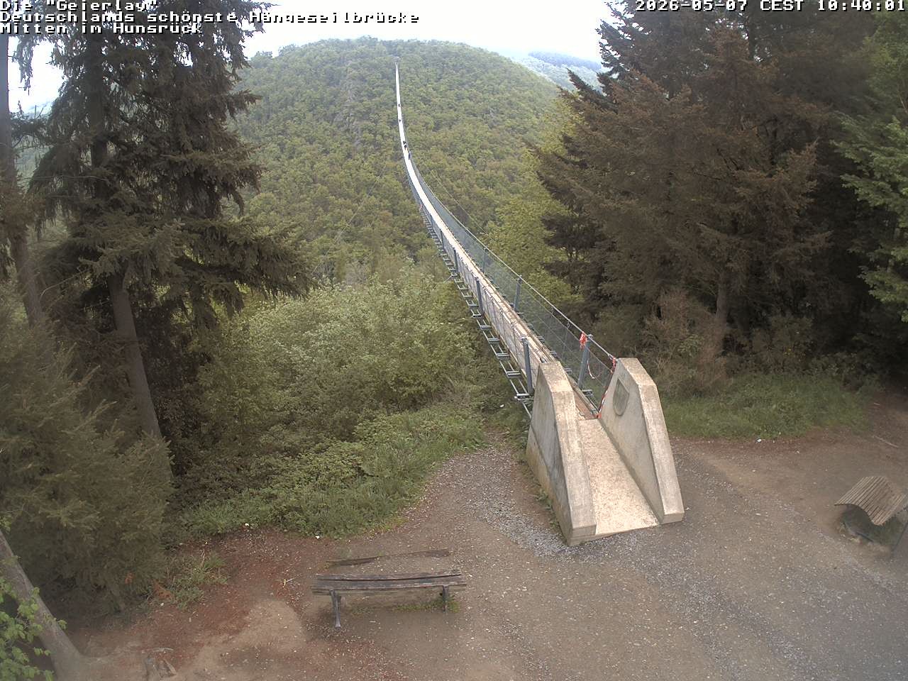 Archiv Foto Webcam Hängebrücke Geierlay bei Mörsdorf