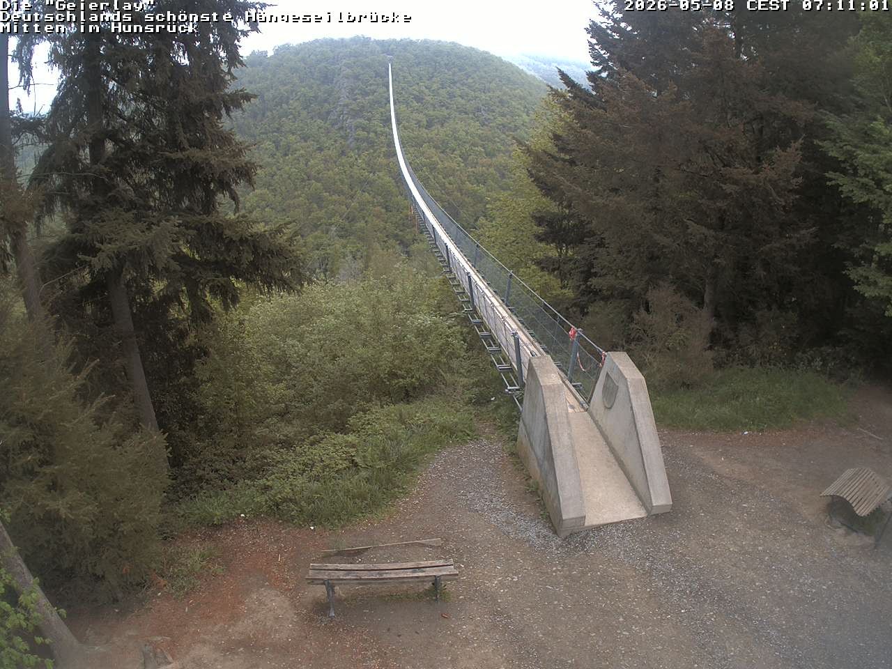 Archiv Foto Webcam Hängebrücke Geierlay bei Mörsdorf