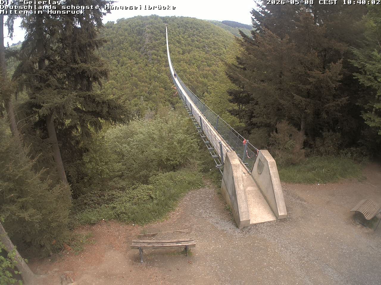 Archiv Foto Webcam Hängebrücke Geierlay bei Mörsdorf