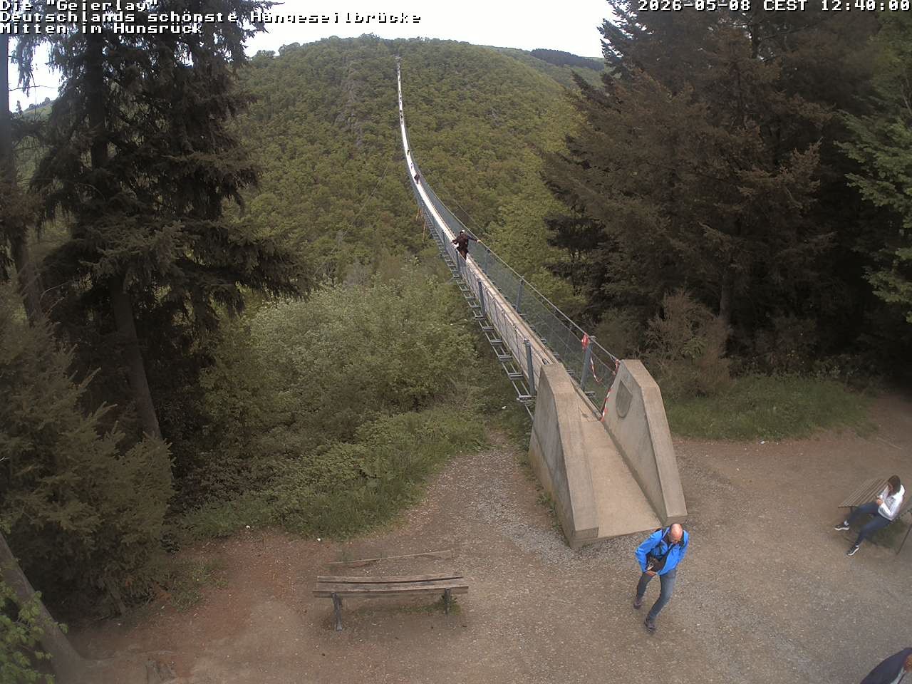 Archiv Foto Webcam Hängebrücke Geierlay bei Mörsdorf