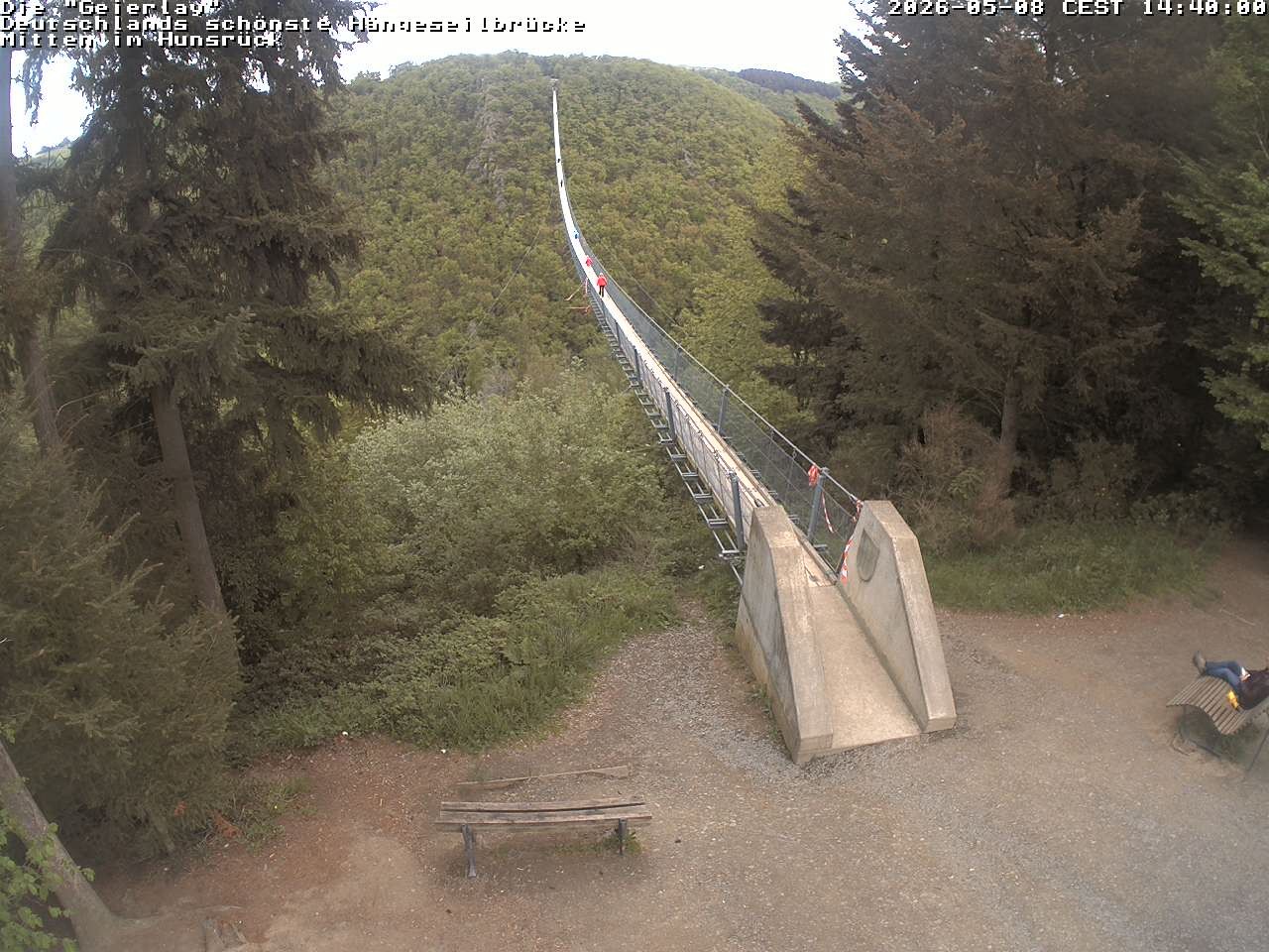 Archiv Foto Webcam Hängebrücke Geierlay bei Mörsdorf