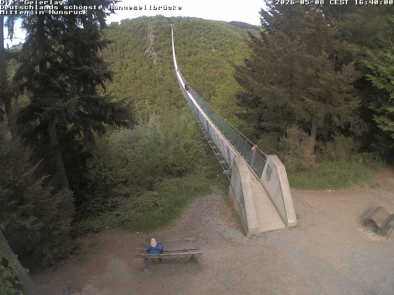 Archiv Foto Webcam Hängebrücke Geierlay bei Mörsdorf