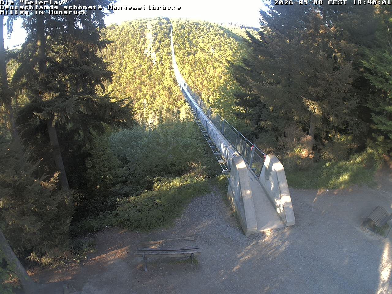 Archiv Foto Webcam Hängebrücke Geierlay bei Mörsdorf
