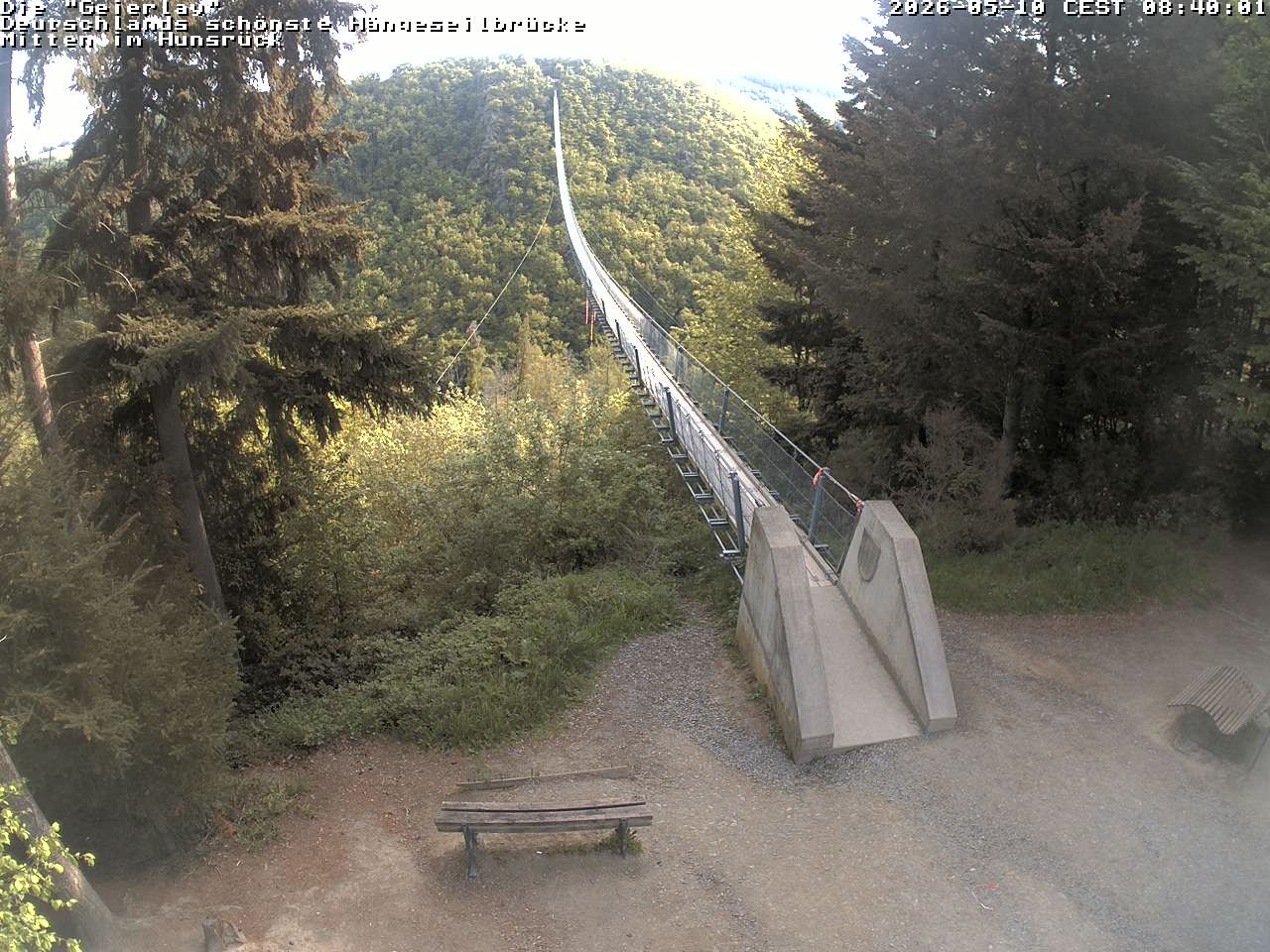 Archived image Webcam Geierlay Suspension Bridge Mörsdorf