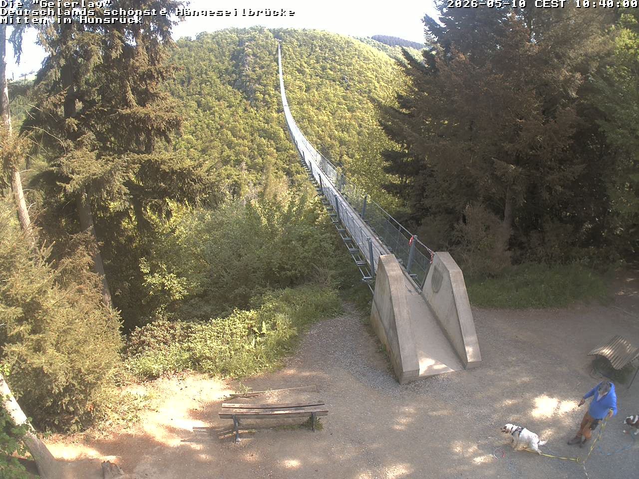 Archived image Webcam Geierlay Suspension Bridge Mörsdorf
