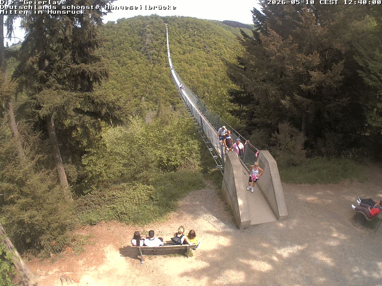 Archived image Webcam Geierlay Suspension Bridge Mörsdorf