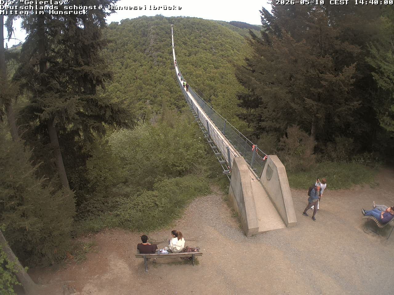 Archived image Webcam Geierlay Suspension Bridge Mörsdorf