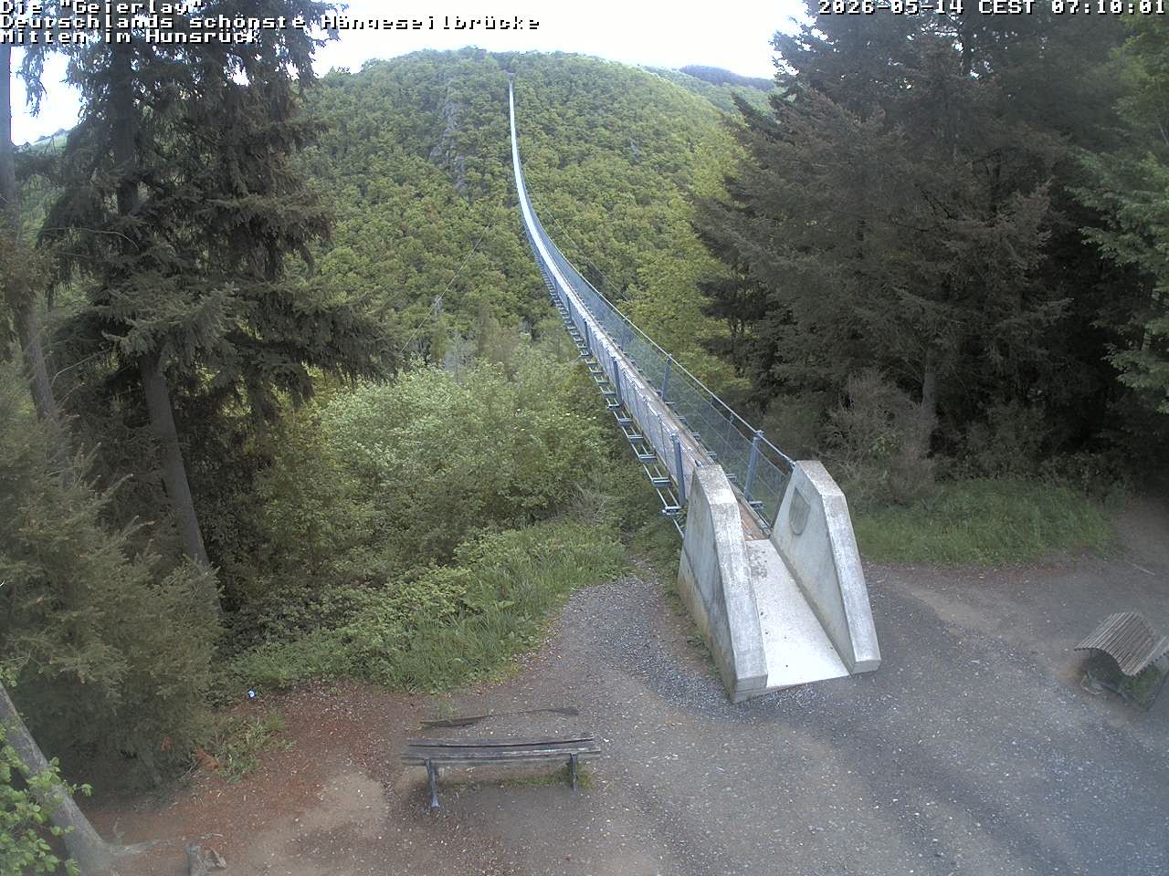 Archiv Foto Webcam Hängebrücke Geierlay bei Mörsdorf