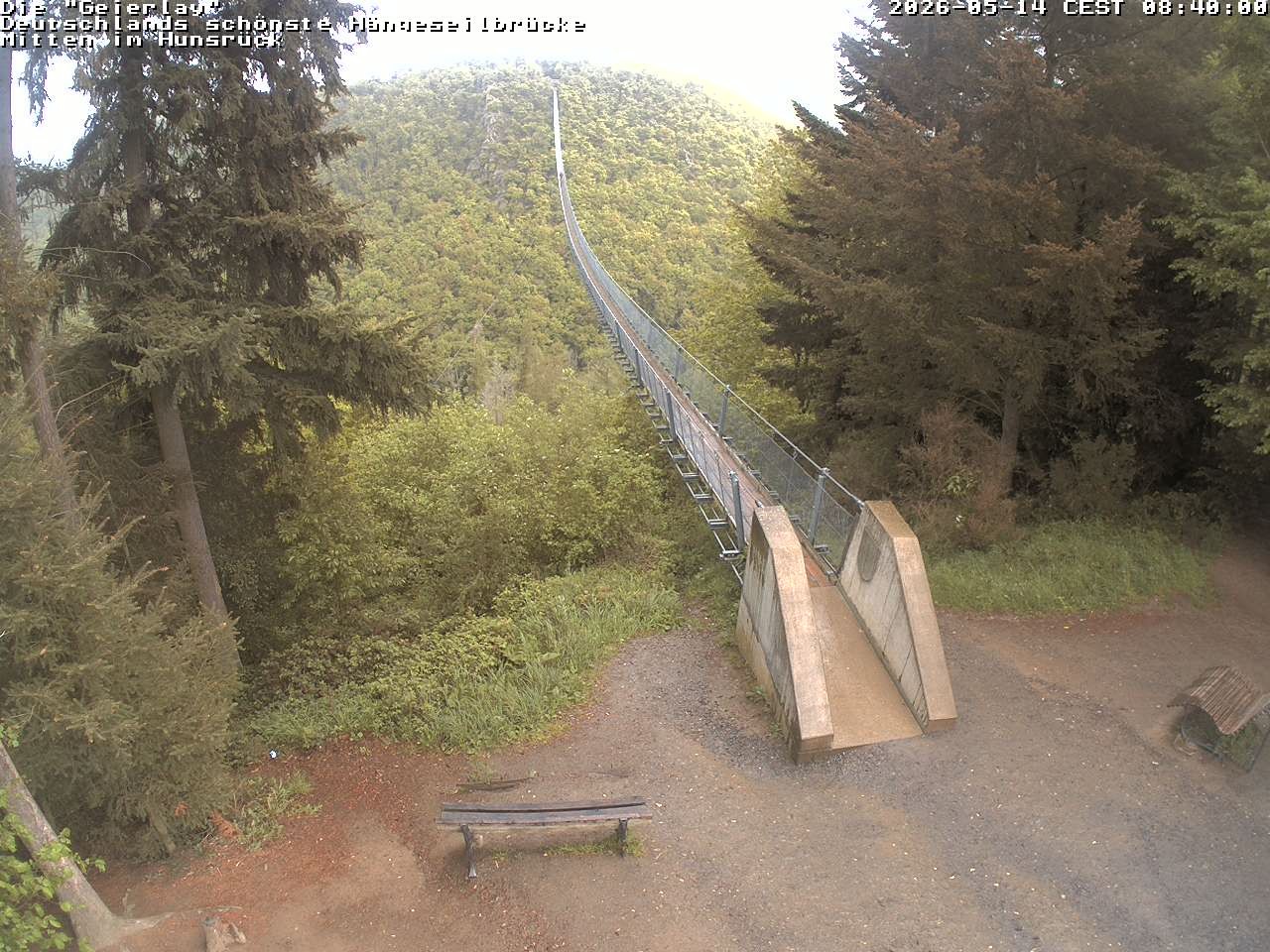 Archiv Foto Webcam Hängebrücke Geierlay bei Mörsdorf