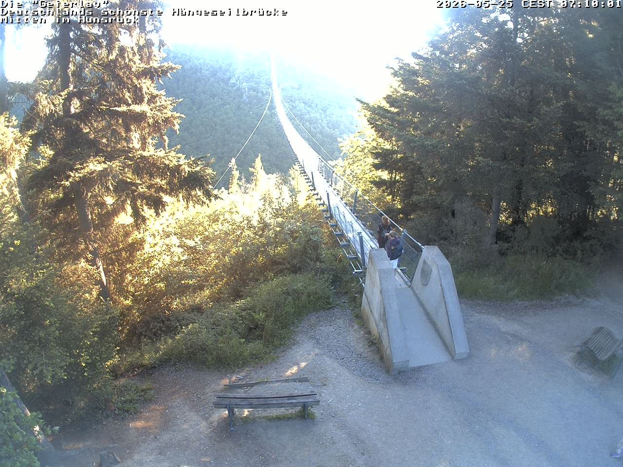 Archiv Foto Webcam Hängebrücke Geierlay bei Mörsdorf