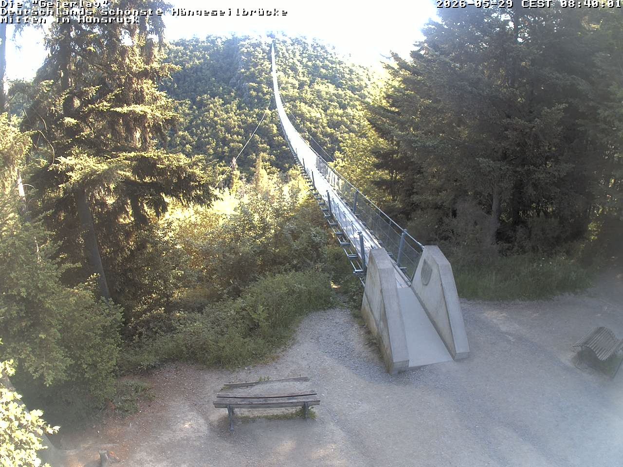 Archived image Webcam Geierlay Suspension Bridge Mörsdorf