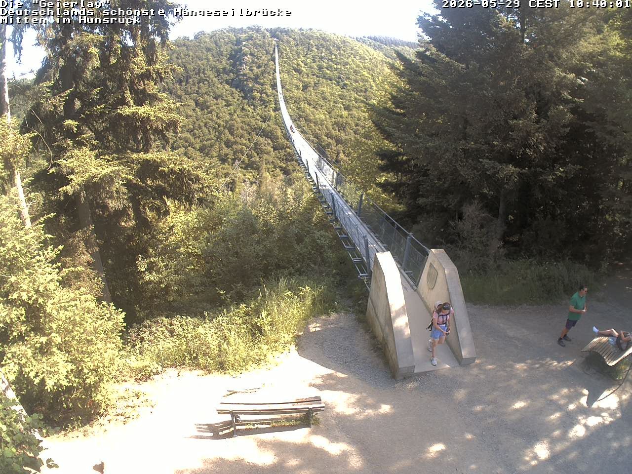 Archived image Webcam Geierlay Suspension Bridge Mörsdorf