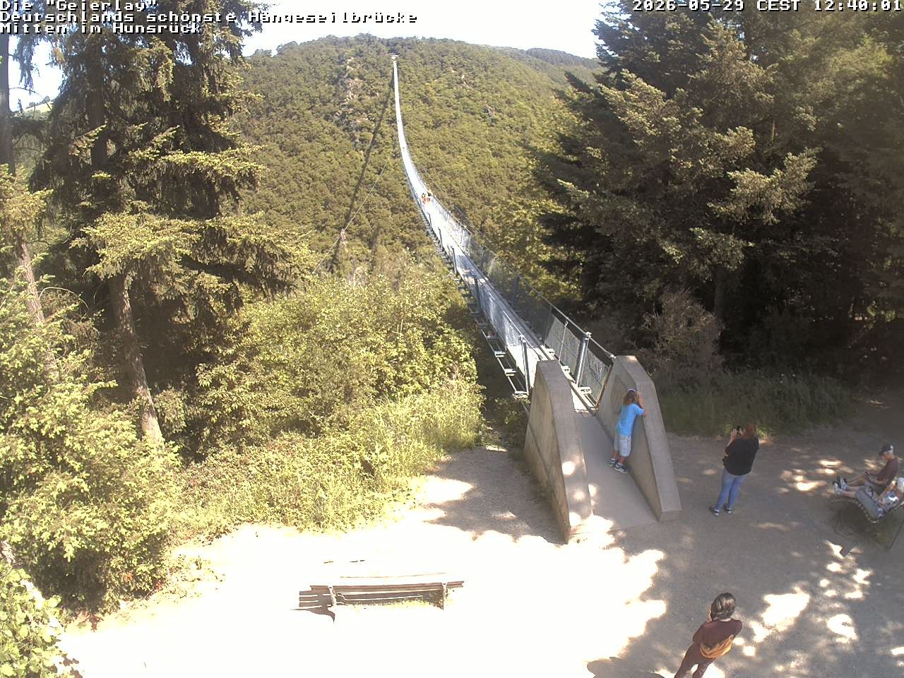 Archived image Webcam Geierlay Suspension Bridge Mörsdorf