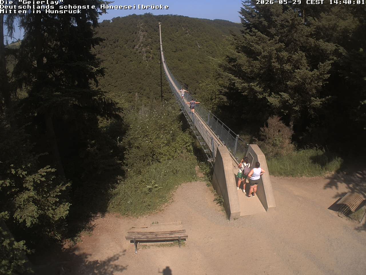 Archived image Webcam Geierlay Suspension Bridge Mörsdorf