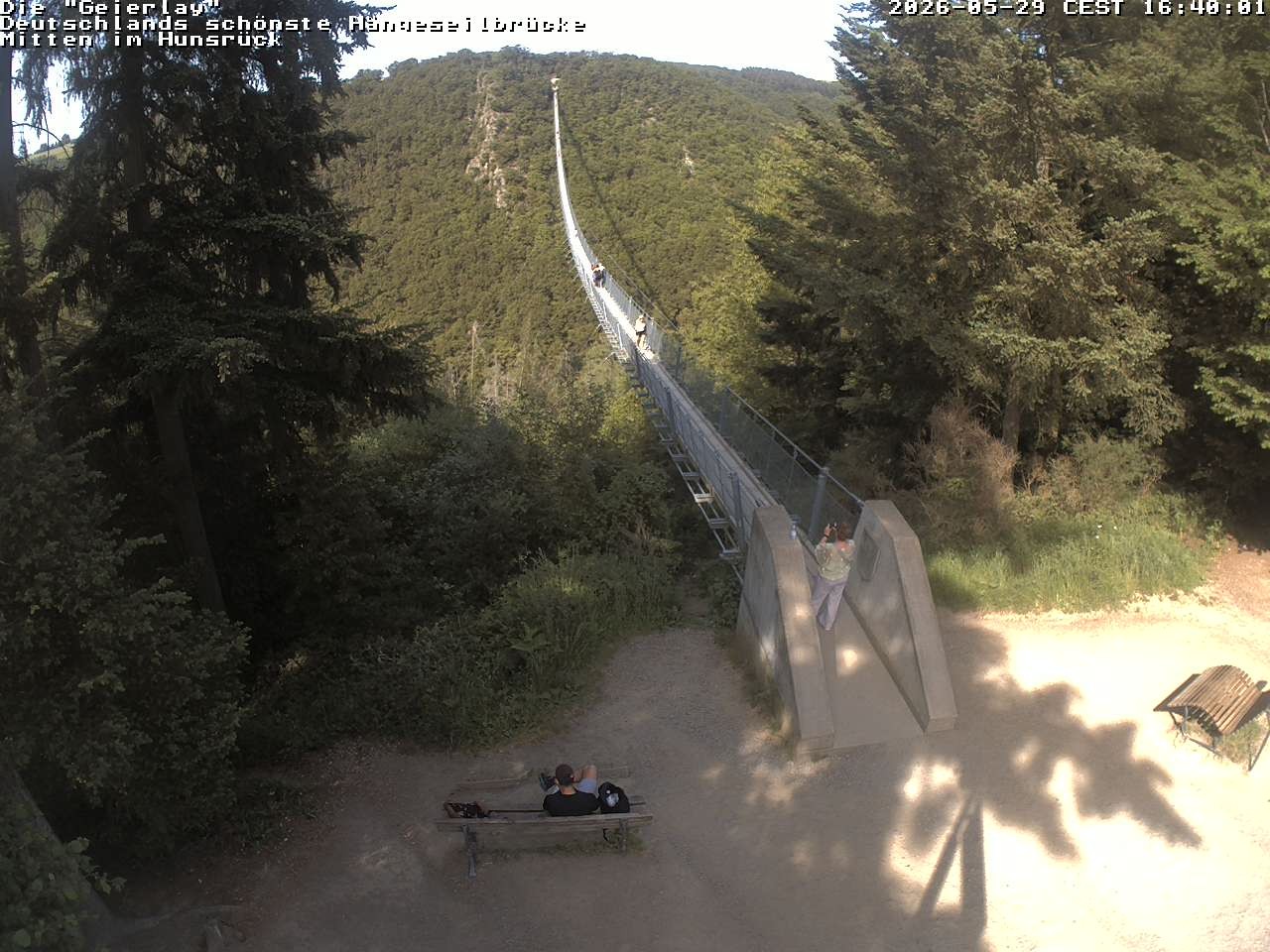 Archived image Webcam Geierlay Suspension Bridge Mörsdorf