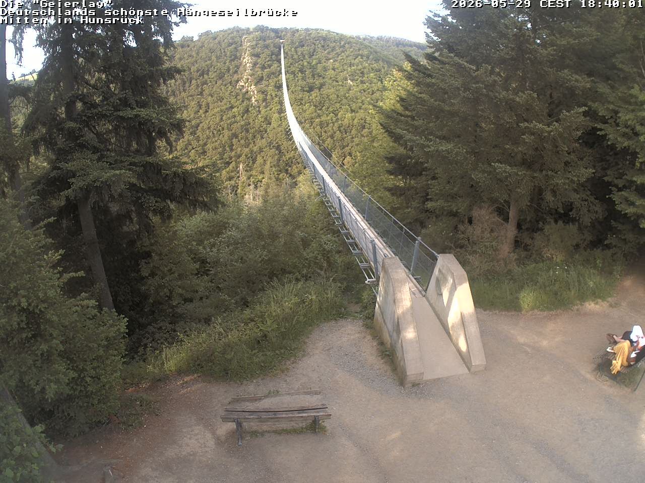 Archived image Webcam Geierlay Suspension Bridge Mörsdorf