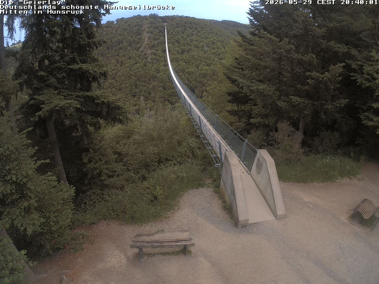 Archived image Webcam Geierlay Suspension Bridge Mörsdorf
