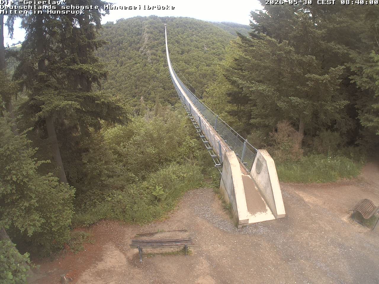 Archived image Webcam Geierlay Suspension Bridge Mörsdorf
