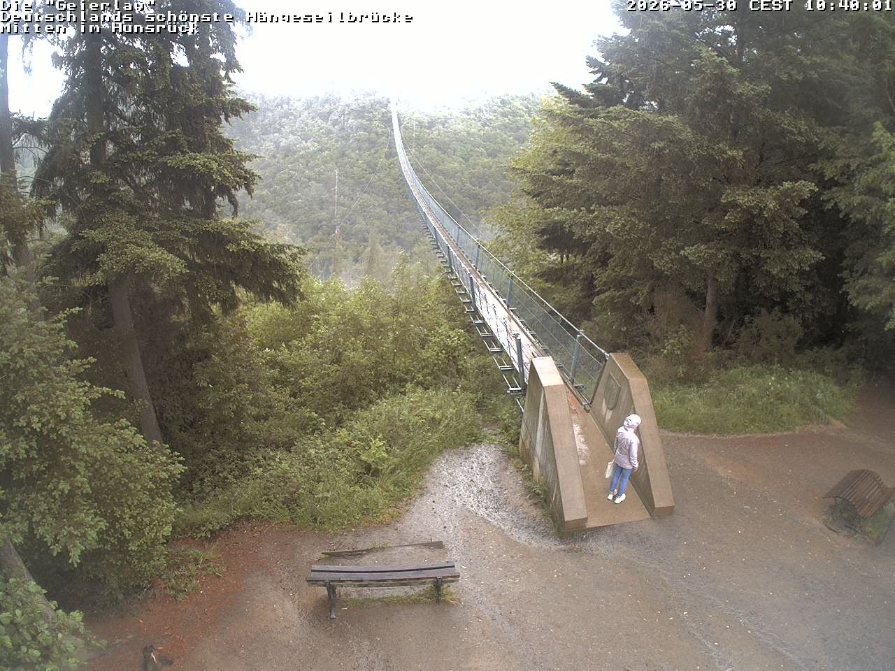 Archived image Webcam Geierlay Suspension Bridge Mörsdorf