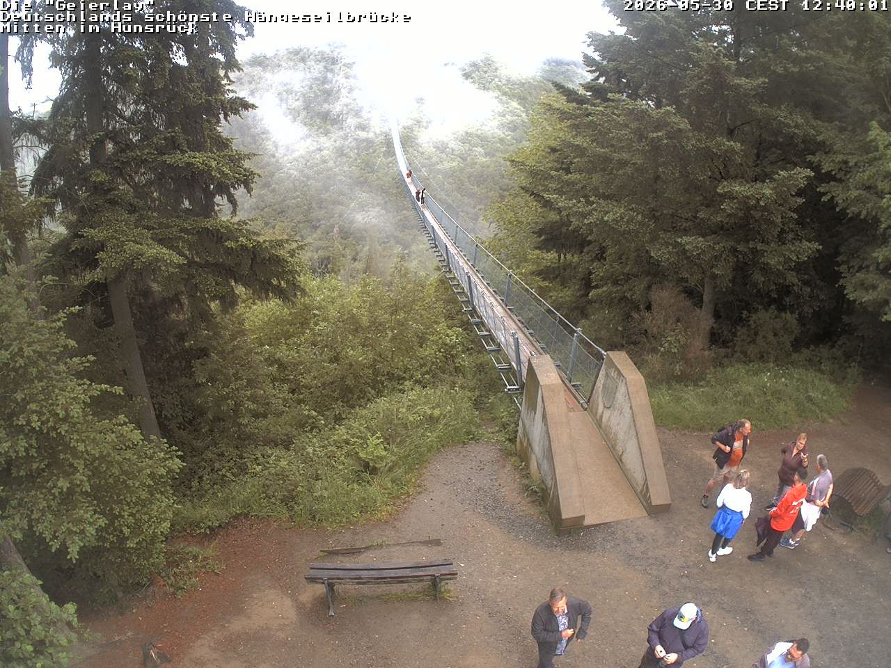 Archived image Webcam Geierlay Suspension Bridge Mörsdorf