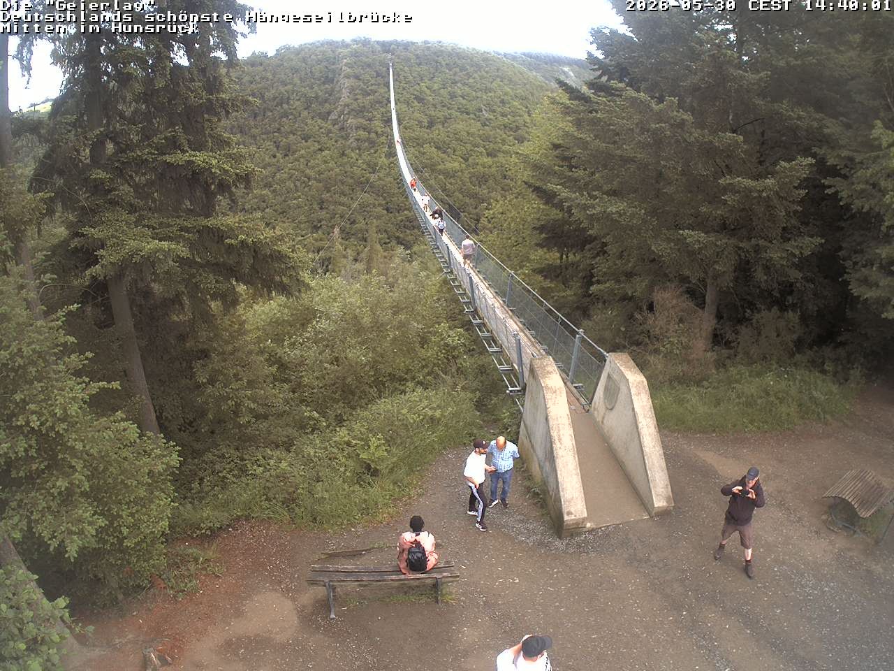 Archived image Webcam Geierlay Suspension Bridge Mörsdorf