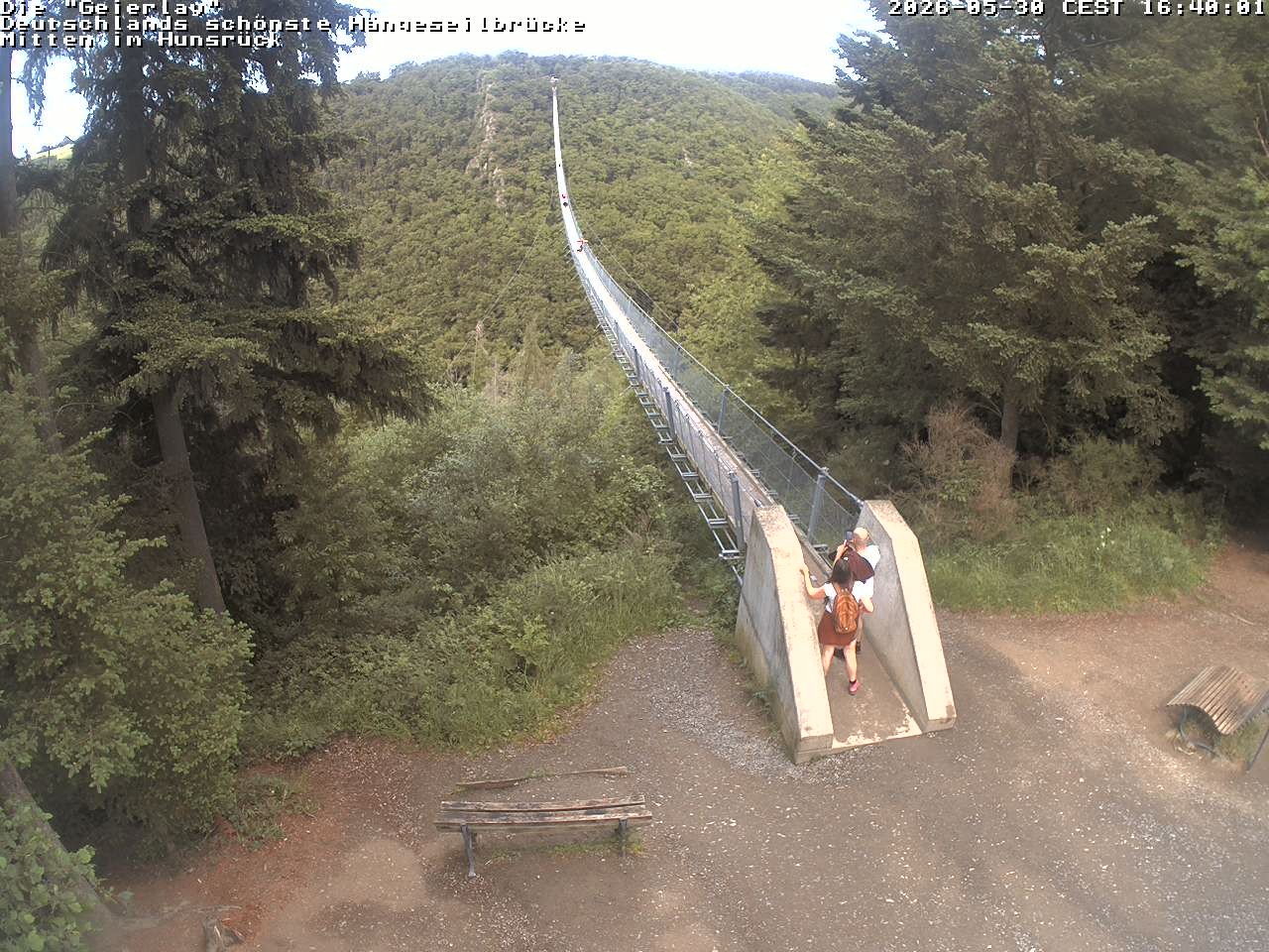 Archived image Webcam Geierlay Suspension Bridge Mörsdorf