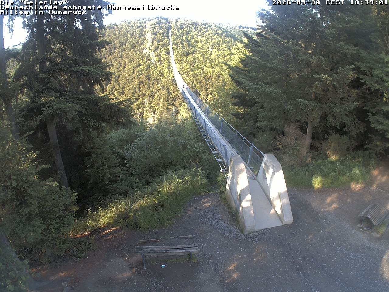 Archived image Webcam Geierlay Suspension Bridge Mörsdorf