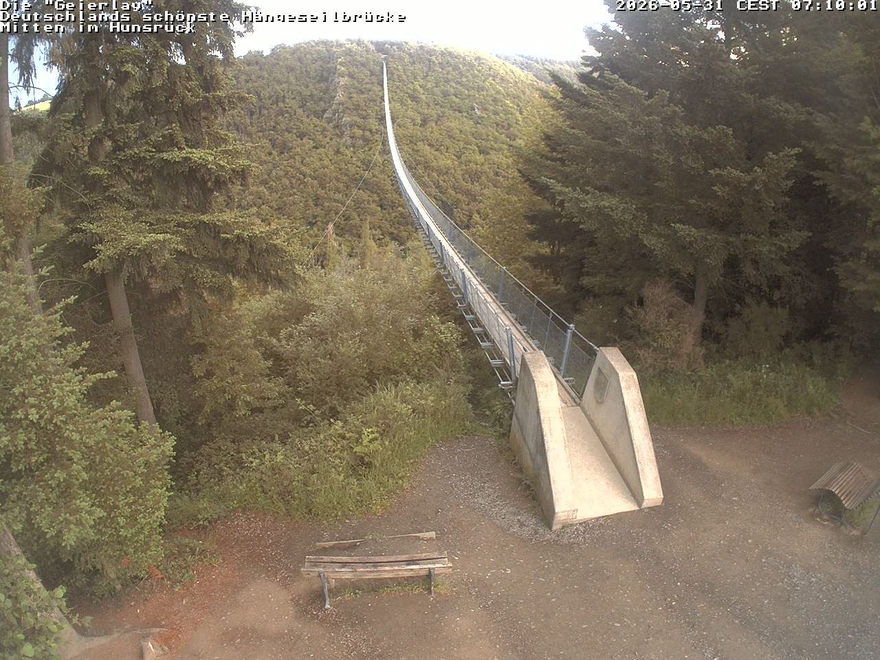 Archived image Webcam Geierlay Suspension Bridge Mörsdorf