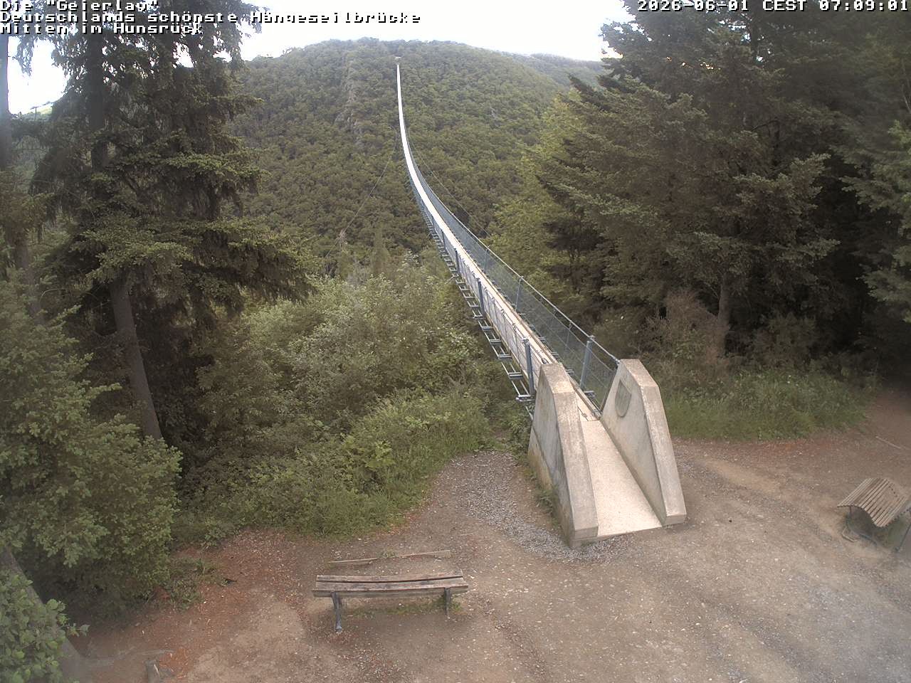Archiv Foto Webcam Hängebrücke Geierlay bei Mörsdorf