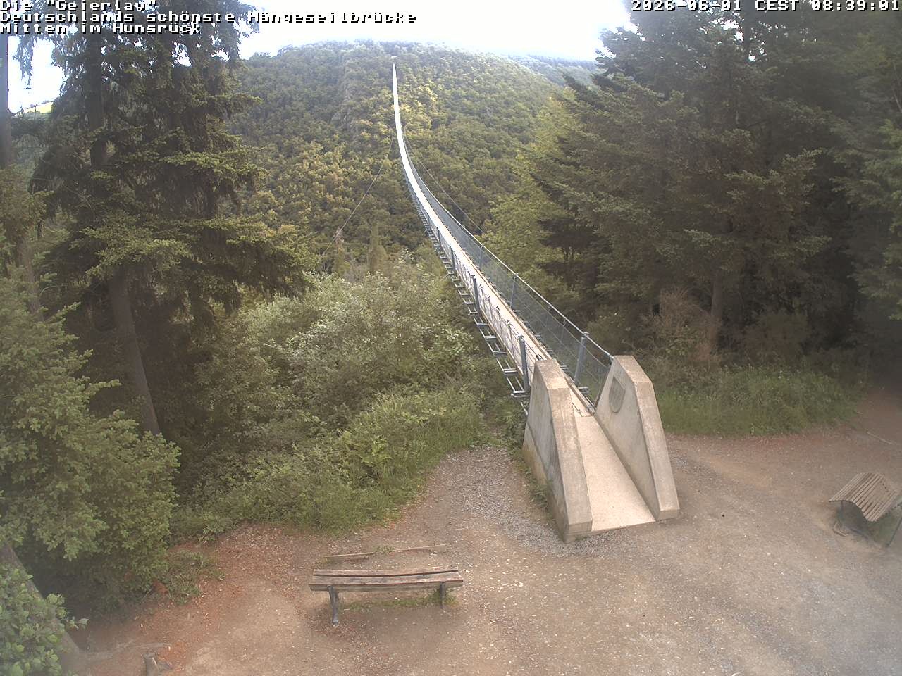 Archiv Foto Webcam Hängebrücke Geierlay bei Mörsdorf