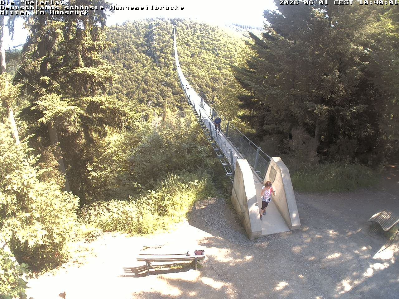 Archiv Foto Webcam Hängebrücke Geierlay bei Mörsdorf