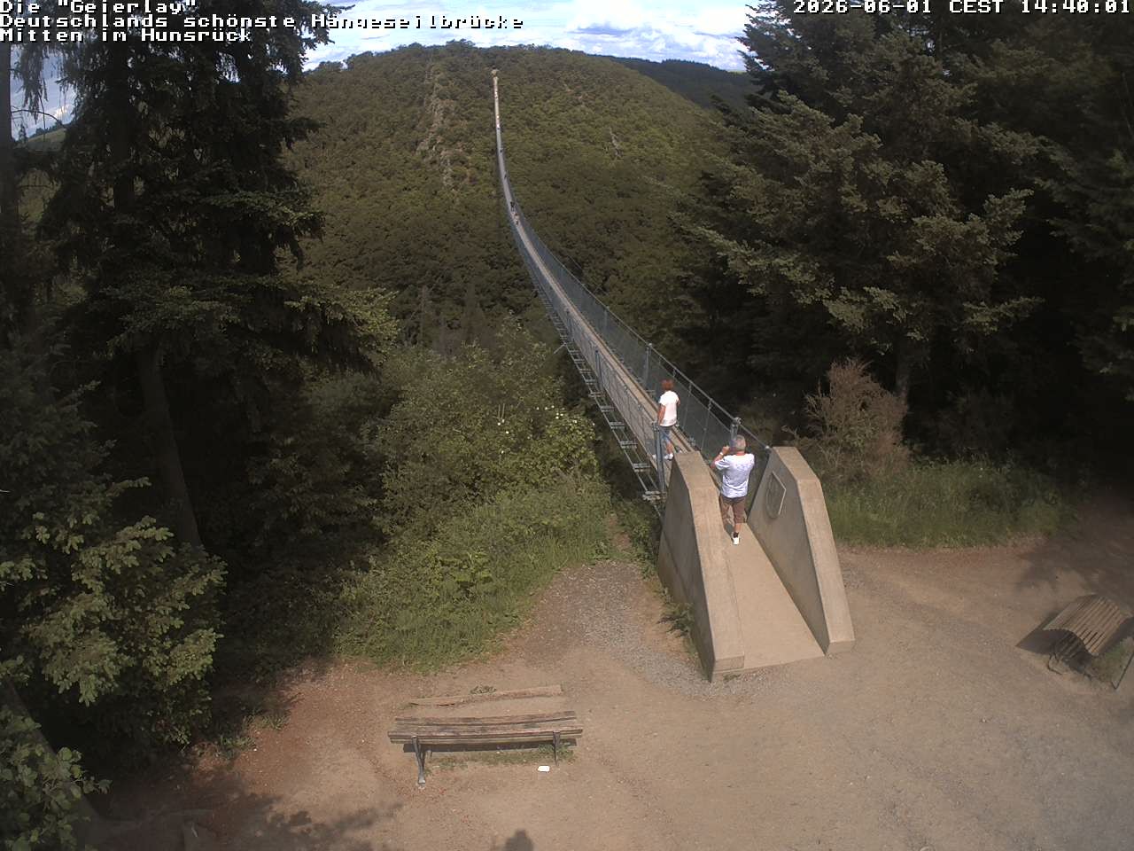 Archiv Foto Webcam Hängebrücke Geierlay bei Mörsdorf