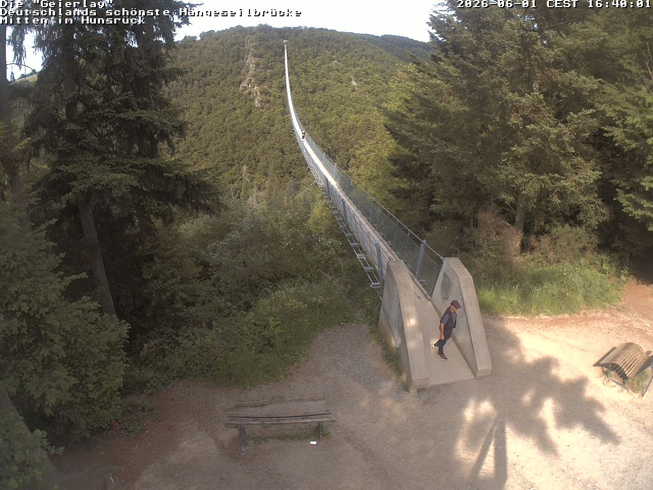 Archiv Foto Webcam Hängebrücke Geierlay bei Mörsdorf