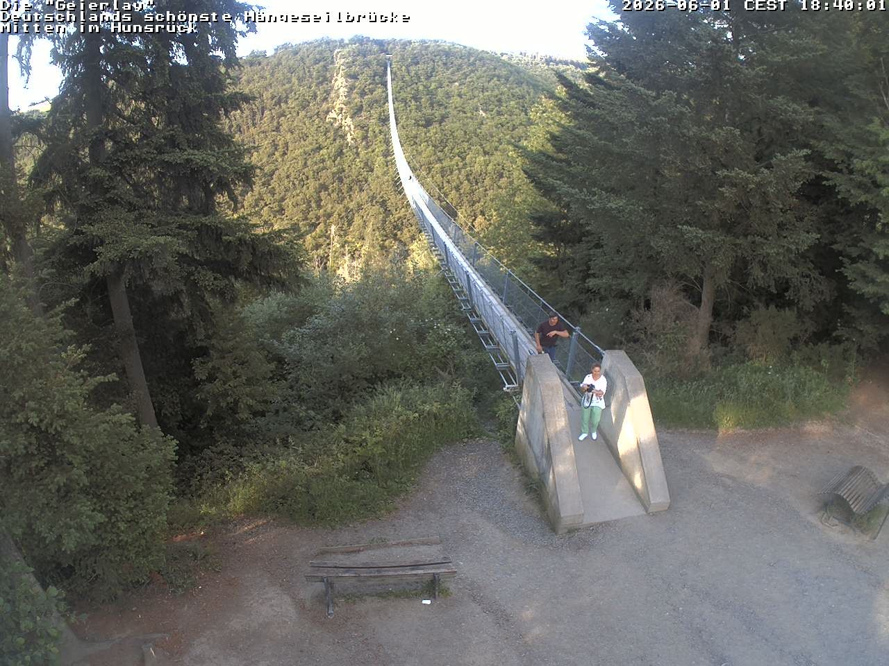 Archiv Foto Webcam Hängebrücke Geierlay bei Mörsdorf
