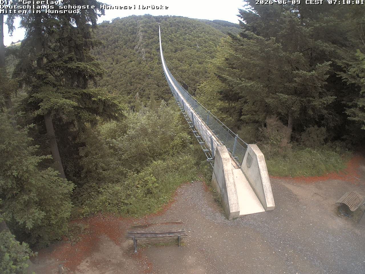 Archiv Foto Webcam Hängebrücke Geierlay bei Mörsdorf