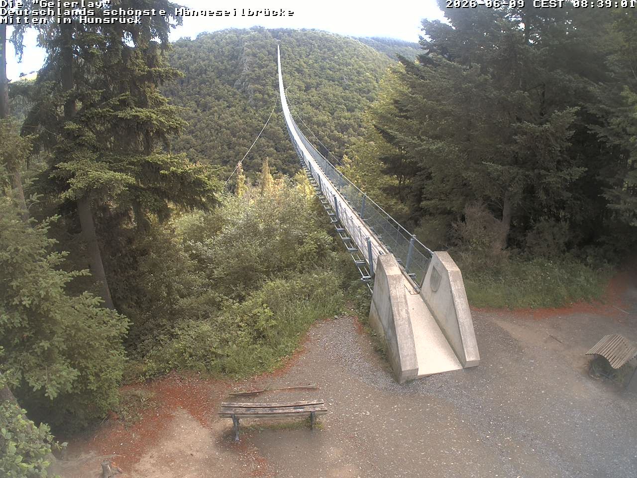 Archiv Foto Webcam Hängebrücke Geierlay bei Mörsdorf