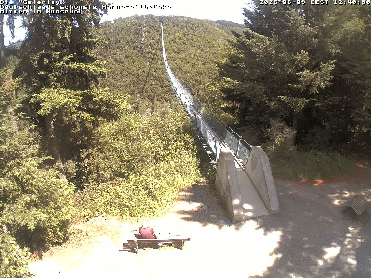 Archiv Foto Webcam Hängebrücke Geierlay bei Mörsdorf