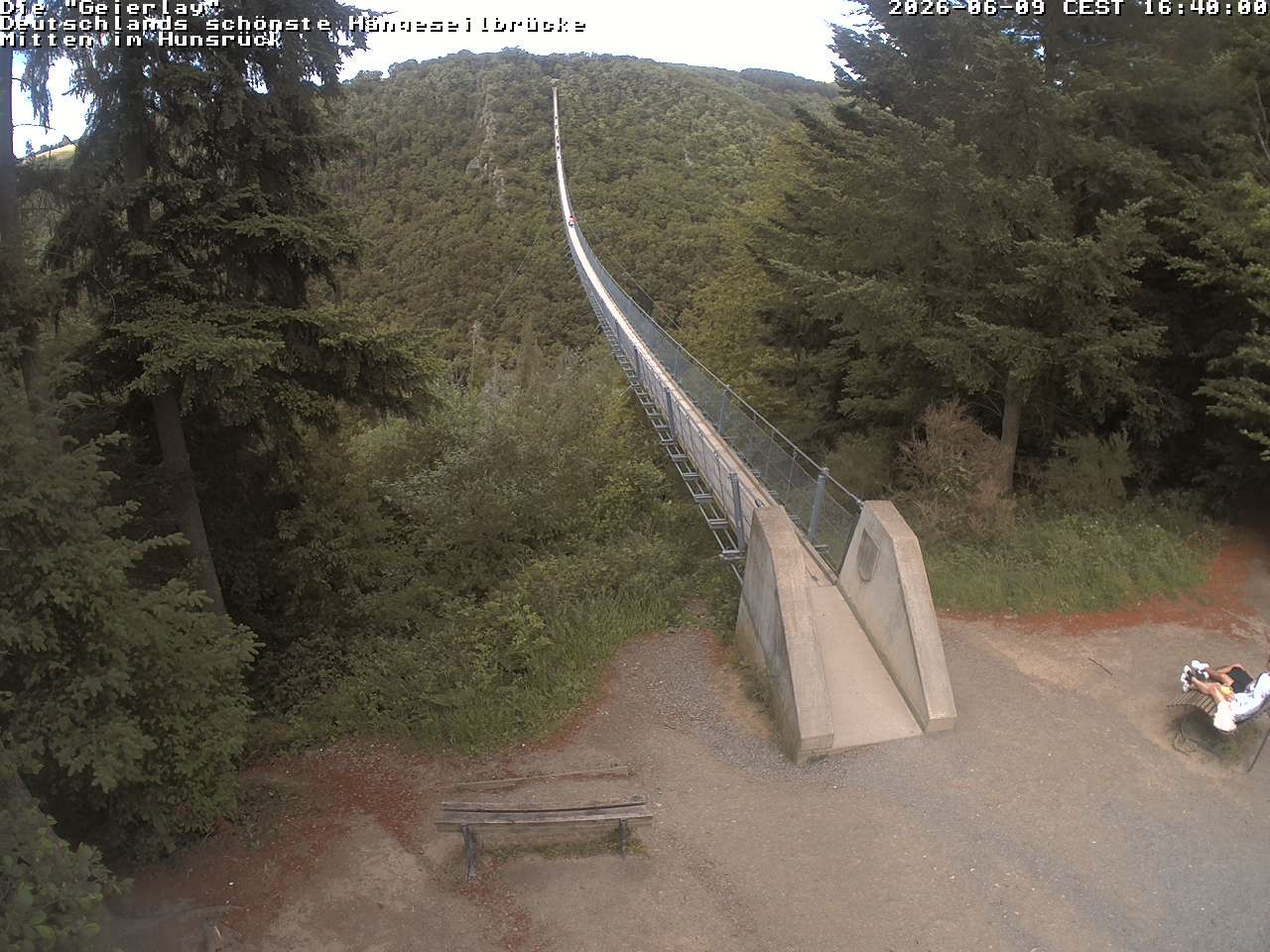 Archiv Foto Webcam Hängebrücke Geierlay bei Mörsdorf