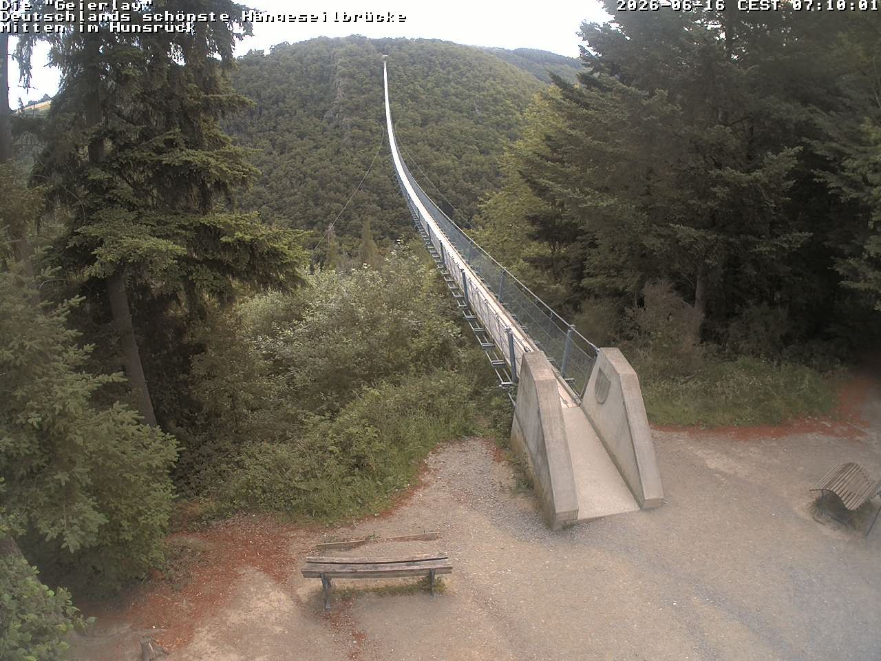 Archiv Foto Webcam Hängebrücke Geierlay bei Mörsdorf