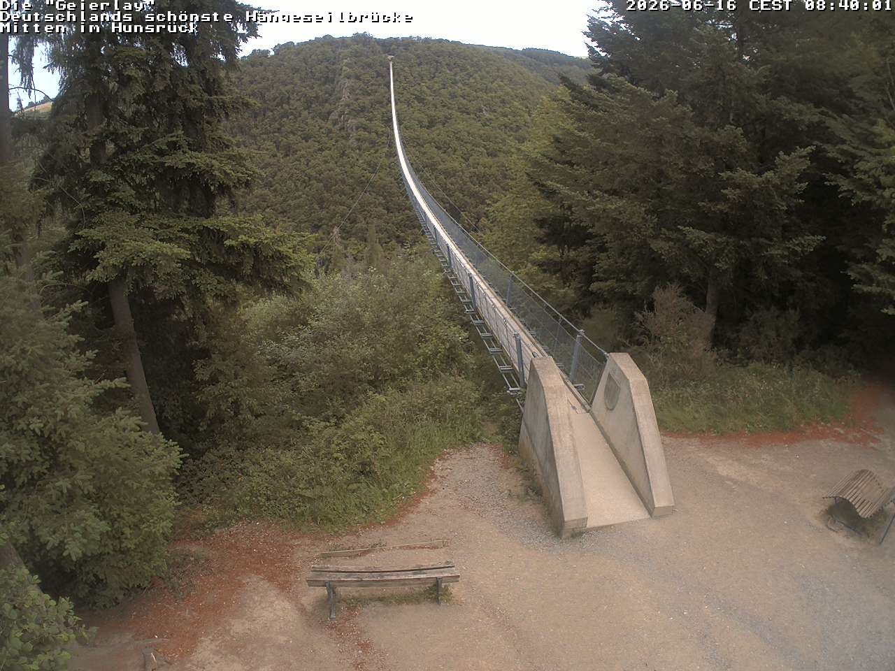 Archiv Foto Webcam Hängebrücke Geierlay bei Mörsdorf